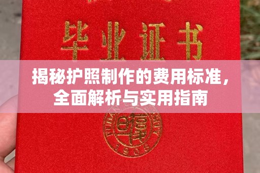 南宫揭秘护照制作的费用标准，全面解析与实用指南
