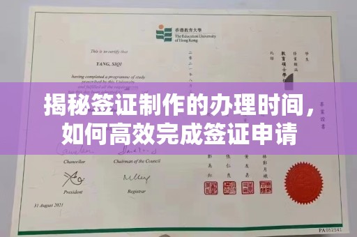 南宫揭秘签证制作的办理时间，如何高效完成签证申请
