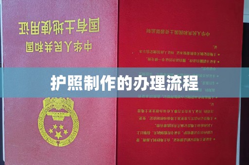 南宫护照制作的办理流程