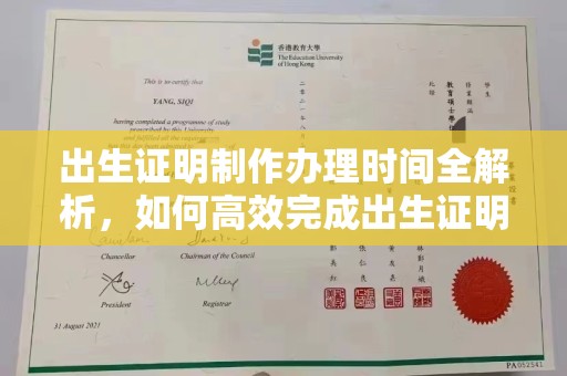 南宫出生证明制作办理时间全解析，如何高效完成出生证明申请？