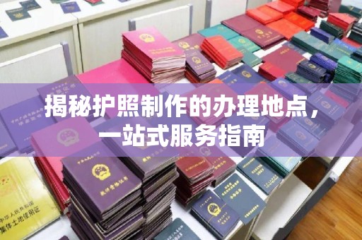 南宫揭秘护照制作的办理地点，一站式服务指南