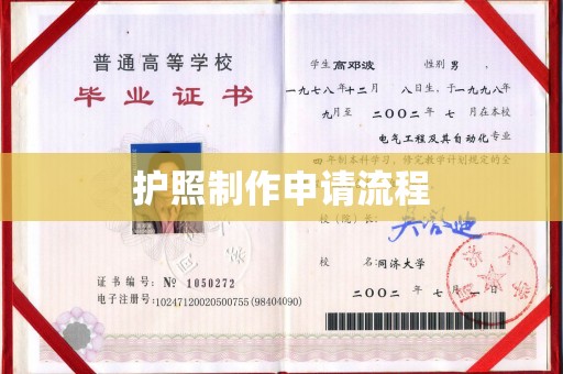 南宫护照制作申请流程