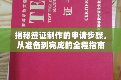 南宫揭秘签证制作的申请步骤，从准备到完成的全程指南
