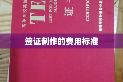 南宫签证制作的费用标准