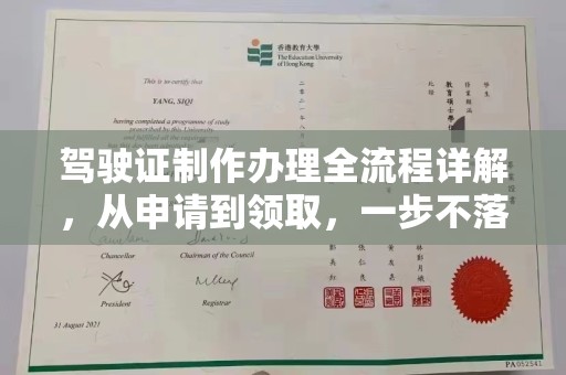 南宫驾驶证制作办理全流程详解，从申请到领取，一步不落