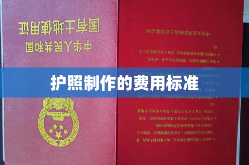 南宫护照制作的费用标准