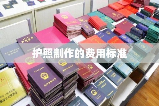 南宫护照制作的费用标准