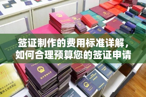 南宫签证制作的费用标准详解，如何合理预算您的签证申请成本